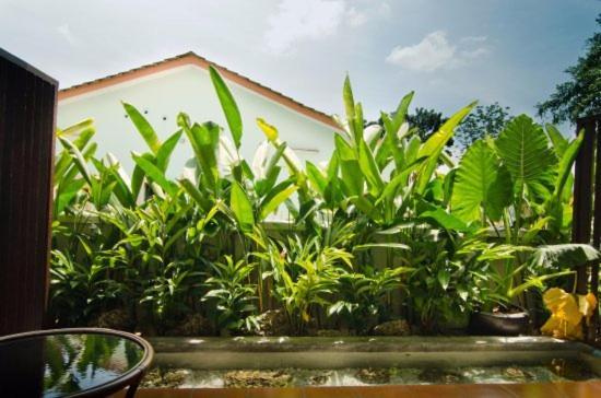 Mydream Guest House Ipoh Esterno foto